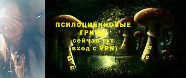 скорость Богданович