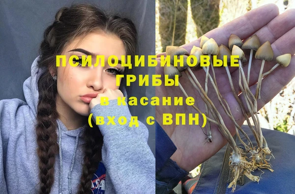 2c-b Беломорск