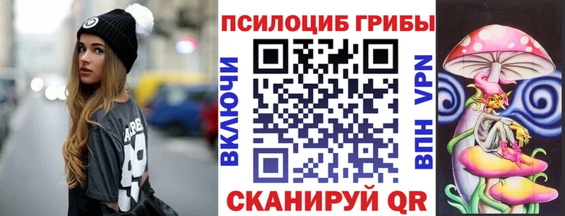 Псилоцибиновые грибы мухоморы  Дмитров 